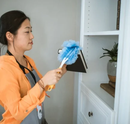 Domestic Maid Insurance